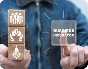 Model Asesmen usaha mikro yang akan digunakan oleh incubator